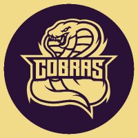 Cobras™ (@cobras_tm) 's Twitter Profile