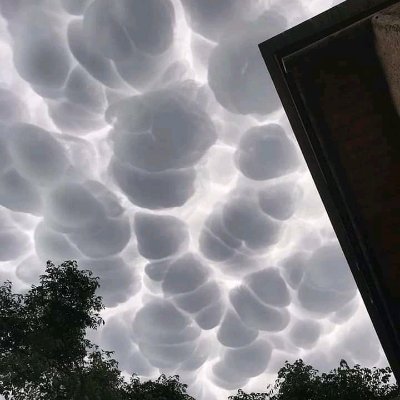 Piripiri2000's profile picture. Raza