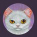 Simp Cat NFT (@simp_cat__nft) Twitter profile photo Simp Cat NFT (@simp_cat__nft) Twitter profile photo