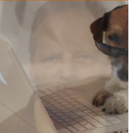 daamdevries's profile picture. subsydzjes foar beropsfriezen moatte ferbean wurde