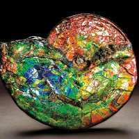 Gemtrade (@gemtrade11) 's Twitter Profile