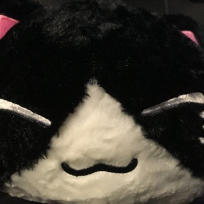 Carmeowlita's profile picture. Amateur 3D Modeller/ 22yr/ Fem