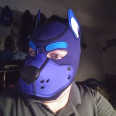 age 30+ wolf pup that loves to play , chew on toys and is into meeting new people. would love to find a alpha or a dom to make me there bottom pup   18+ only