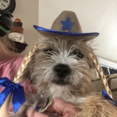 JamieSh46556283's profile picture. 