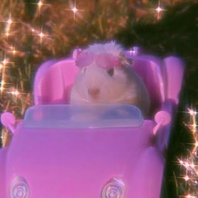 HAMLIVE4's profile picture. 