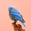 Bluebird Books's avatar