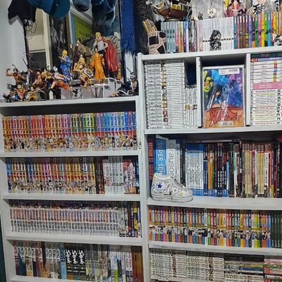 bluishbooks's profile picture. Aro/Ace
I have an unhealthy obsession with all kinds of fiction