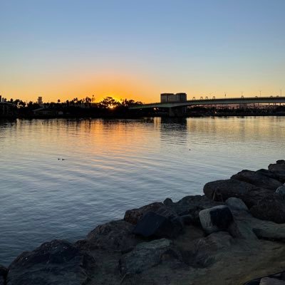 Dice_Zee's profile picture. 
