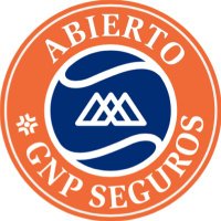 Abierto GNP Seguros (@abierto_gnp) 's Twitter Profile