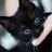 ぶるーあいずぶらっくきゃっとどあごん🐈⬛のアイコン