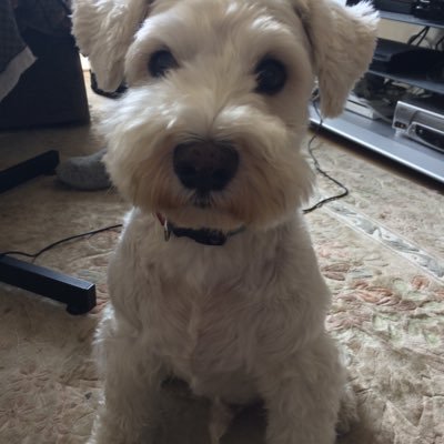 MoU1PWNfPmoyFx3's profile picture. 趣味はパッチワークです