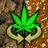 weedconnect
