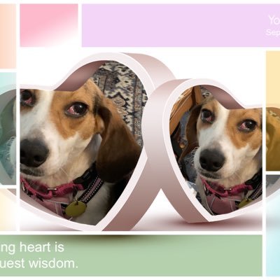 kathimarks10's profile picture. Teacher of the dance