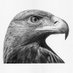 David Hamuel (@davidhamuel) Twitter profile photo David Hamuel (@davidhamuel) Twitter profile photo