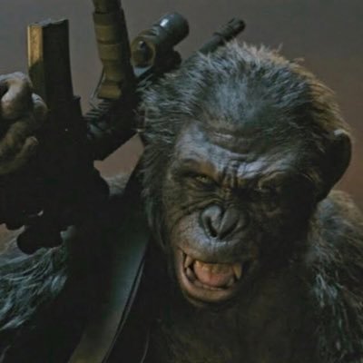 Njmks31's profile picture. Just here