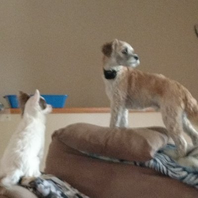 Meier52404's profile picture. 