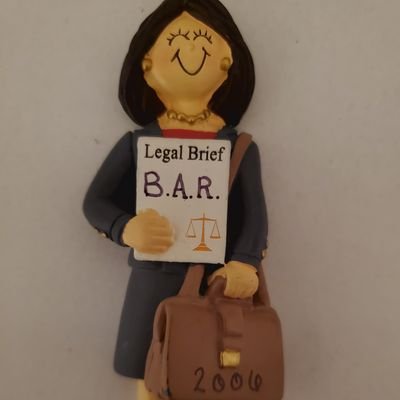 brichlen's profile picture. Mom and civil legal aid attorney in the woods of WI. Legal innovation, lakes, baseball & frozen custard (tweets/ views are my own)