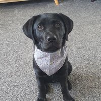 Kirsten Leak (@baby_paramedic) 's Twitter Profile Photo