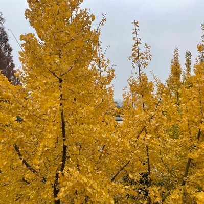 Sofa9520's profile picture. 