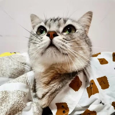 MiyaYanC's profile picture. Custom packaging bag factory in Shenzhen.