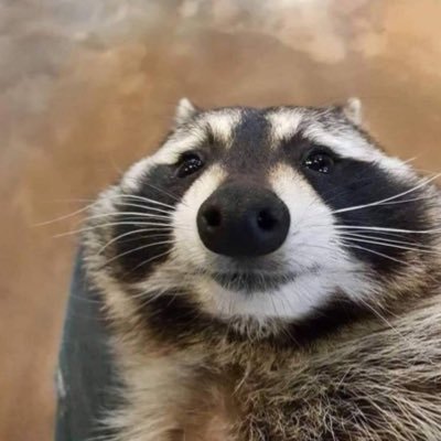 big dumb idiot. average panda and raccoon enjoyer and inconsistent streamer :)