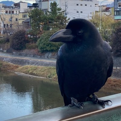 RPが多い関西人。騒がしいと思ったら各自ミュート対応お願いします。
いいねは基本ブクマ。

ゲーム (スプラトゥーン、オクトパストラベラー、他) / 動画編集 / スポーツ / アニメ / 動物 / 癒し / 豆知識 / ユーモア / ブラックジョーク etc...