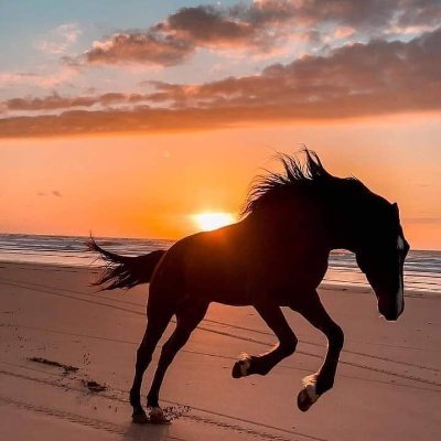 BrendaS54's profile picture. I am just me!