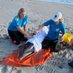 Hubbs Marine Mammal Research & Rescue (@hubbs_mmrr) Twitter profile photo Hubbs Marine Mammal Research & Rescue (@hubbs_mmrr) Twitter profile photo