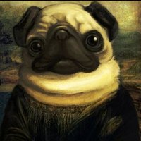 Pug (@un_pug_ahi) 's Twitter Profile