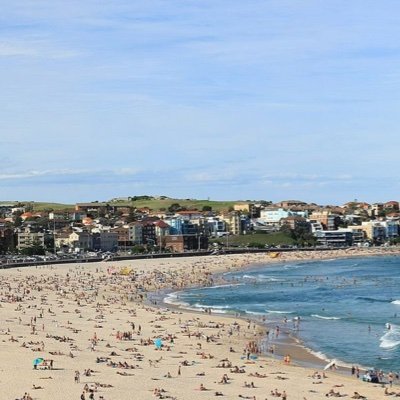 BondiBTC's profile picture. 