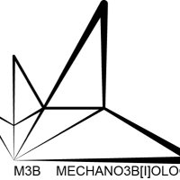 MECHANO3BiOLOGY Lab(@mechano3biology) 's Twitter Profile Photo