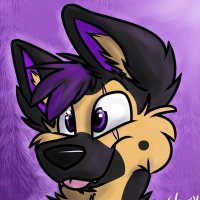 BL⚡️TZ (@flushgshep) 's Twitter Profile