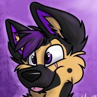 BL⚡️TZ(@flushGshep) 's Twitter Profile Photo