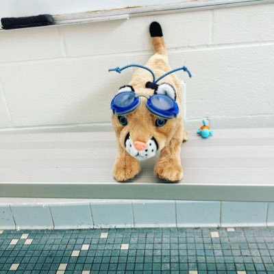 Southview Cougars Swim and Dive