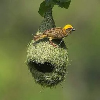 kannana96326894's profile picture. 