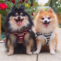 imoan (@imoanximoan) Twitter profile photo