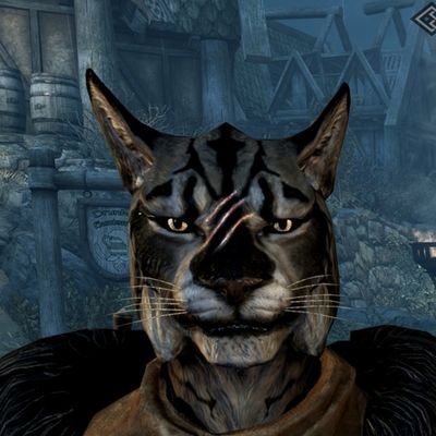 Renowned Khajiit pit fighter from Cyrodiil, now living on Skyrim, recently discovered Dragonborn.II #TESRP #SkyrimRP #FantasyRP #MVRP #Multiship