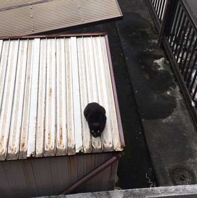 alkemisc's profile picture. mindmatter.