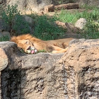 sn83321132's profile picture. 映画フィクションごはん　好きなものいっぱい