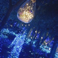 ねる@お取引垢 (@nene_miru3) 's Twitter Profile