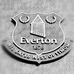 Music. Tv shows. Everton F.C. Premier League fan