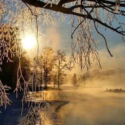 mengal2015's profile picture. loves humanity and human beings.