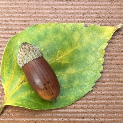 生まれも育ちも関西。🗺️に生息🐙2つのスレッドを繋いでいる🍯https://t.co/ax0CM96Yf0🍵 study social structure🧹🧵👹🦠♻️ No Block,No Hate☺︎ OSINT🦔🫥🧨🦤🦤🦤©