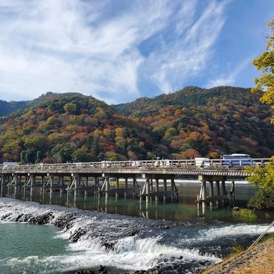 高校教員。定年退職～再任用で定時制へ。長男大学４年生。次男は中学校２年半不登校～通信制で３年生になりました。彼らの笑顔と彼らとの会話が生きがい。フォロー、コメントはご自由に(フォローバックするかどうかは気分次第)。ただし批判はいいですが、誹謗中傷コメントは引用ツイートして晒して笑い者にします。