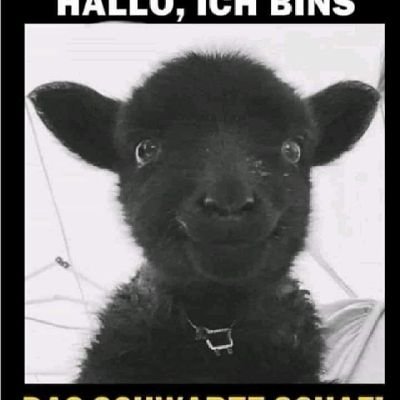 fritzi9909's profile picture. 