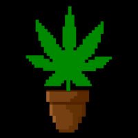 Ethybuds NFT (@ethybuds) 's Twitter Profile Photo Ethybuds NFT (@ethybuds) 's Twitter Profile Photo