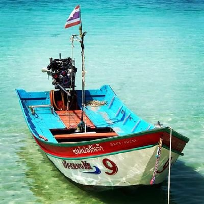 Aussly31's profile picture. 