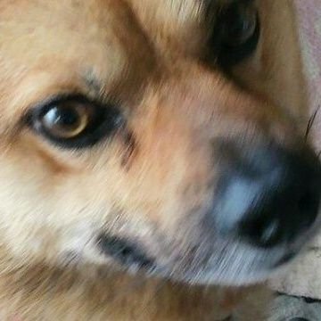 ななつさんのプロフィール画像