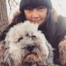 Karen Kempton and Beau ๐ฉ (@karenkempton6) Twitter profile photo Karen Kempton and Beau ๐ฉ (@karenkempton6) Twitter profile photo