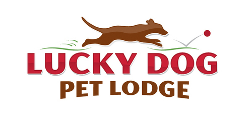 LuckyDogPetLodg's profile picture. Lucky Dog Pet Lodge is Bloomington’s first and only full service dog boarding, daycare, & grooming facility. Lucky Dog is conveniently located just off of 494.